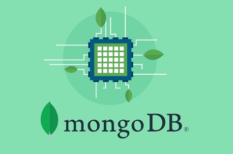 Database Manager (MongoDB)